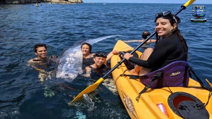 ‘Harbinger of Doom’ Oarfish Found Floating Off California Coast Two Days Before Earthquake Struck