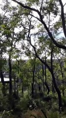 Support the Channel & Explore QDD Hammocks 🏕️