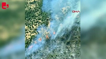 Manisa'da bir orman yangını daha