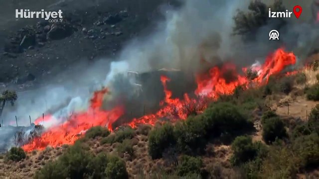 İzmir'de orman yangını: İki mahalle tahliye edildi