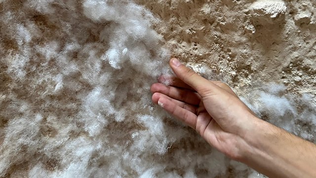 Kapadokya'da tepki çeken görüntüler sonrası harekete geçildi