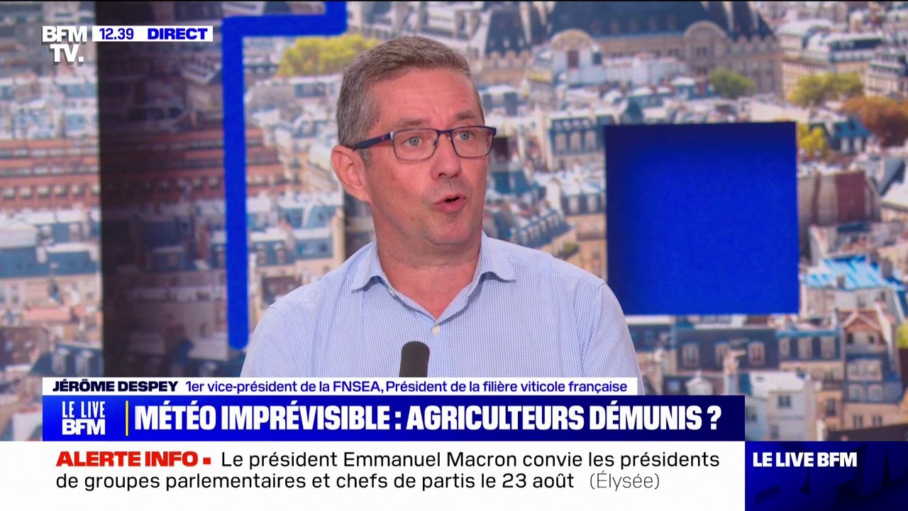 Baisse des rendements agricoles: "Il faut que l'État ait un grand plan d'investissement pour préserver l'agriculture française", demande Jérôme Despey de la FNSEA