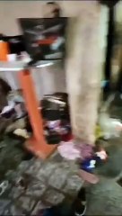 Casal é preso por maus-tratos contra filhos e cachorro em Nova Iguaçu
