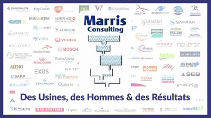 Marris Consulting