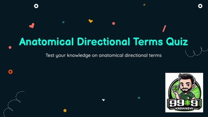Anatomical Directional Terms Quiz
