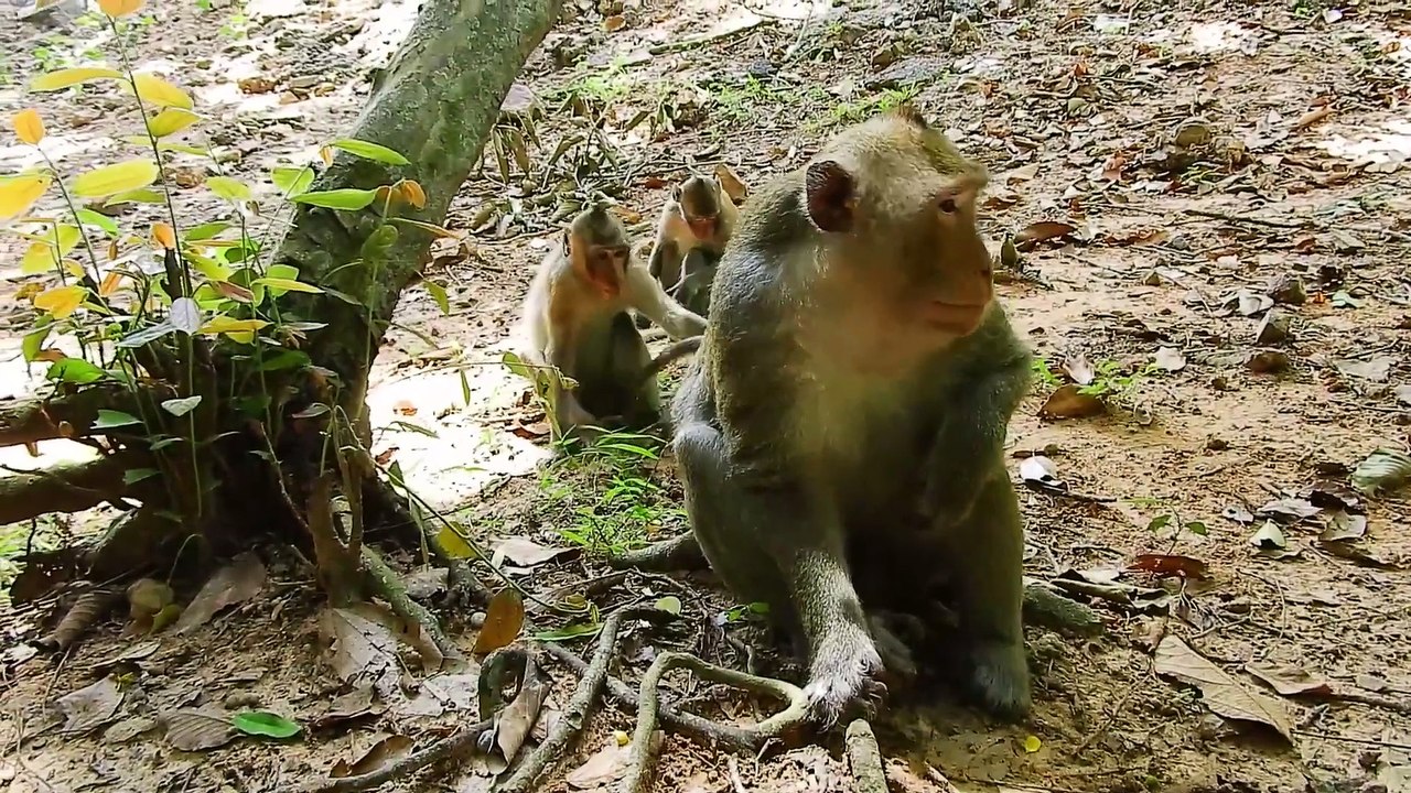 Bobby Now So Good All This Group Like Him