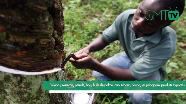 [#Reportage] Gabon : Poissons, minerais, pétrole, bois, huile de palme, caoutchouc, cacao, les principaux produits