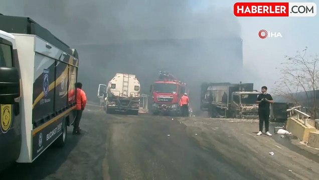 İzmir'de orman yangınında iş yerleri ve araçlar alevlere teslim oldu