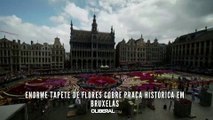 Enorme tapete de flores cobre praça histórica em Bruxelas