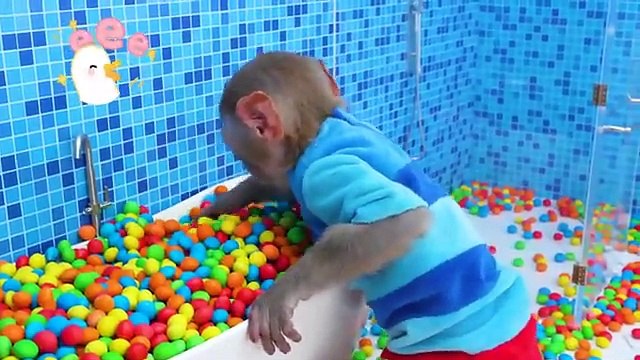 Monkey Baby Bon Bon goes to the farm to take care of ducklings and harvest fruit so yummy