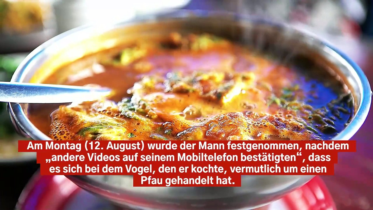 Indischer YouTuber wegen Kochens von Pfauen-Curry inhaftiert