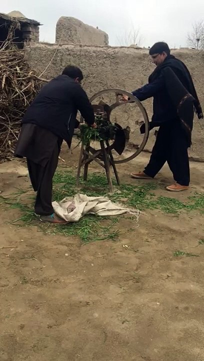 Apna wasaib