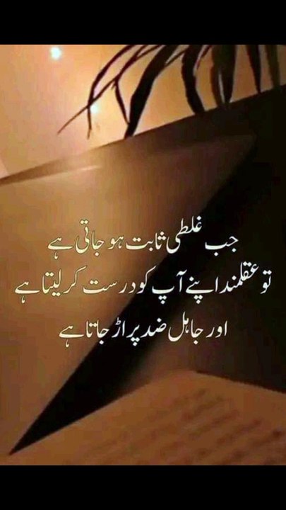 پھر جاہل اپنی ضد پر اڑ جاتا ہے #trending#viral#shorts#islamic#follow#foryou#dailymotion#share