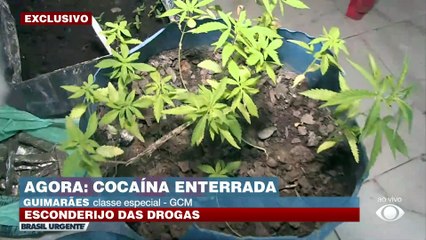Avião de pequeno porte cai na zona rural de Mato Grosso