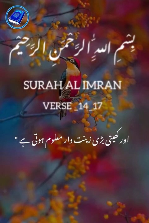 Surah Al Imran verses 14-18 Urdu translat Short video _shortvideo _quranshort _youtubeshort(720P_HD)