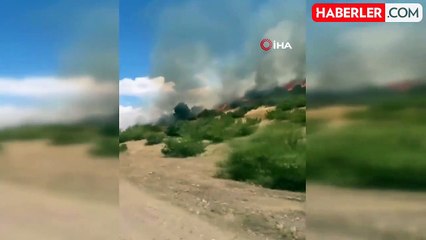 Bingöl'de çıkan orman yangını evlere sıçramadan söndürüldü