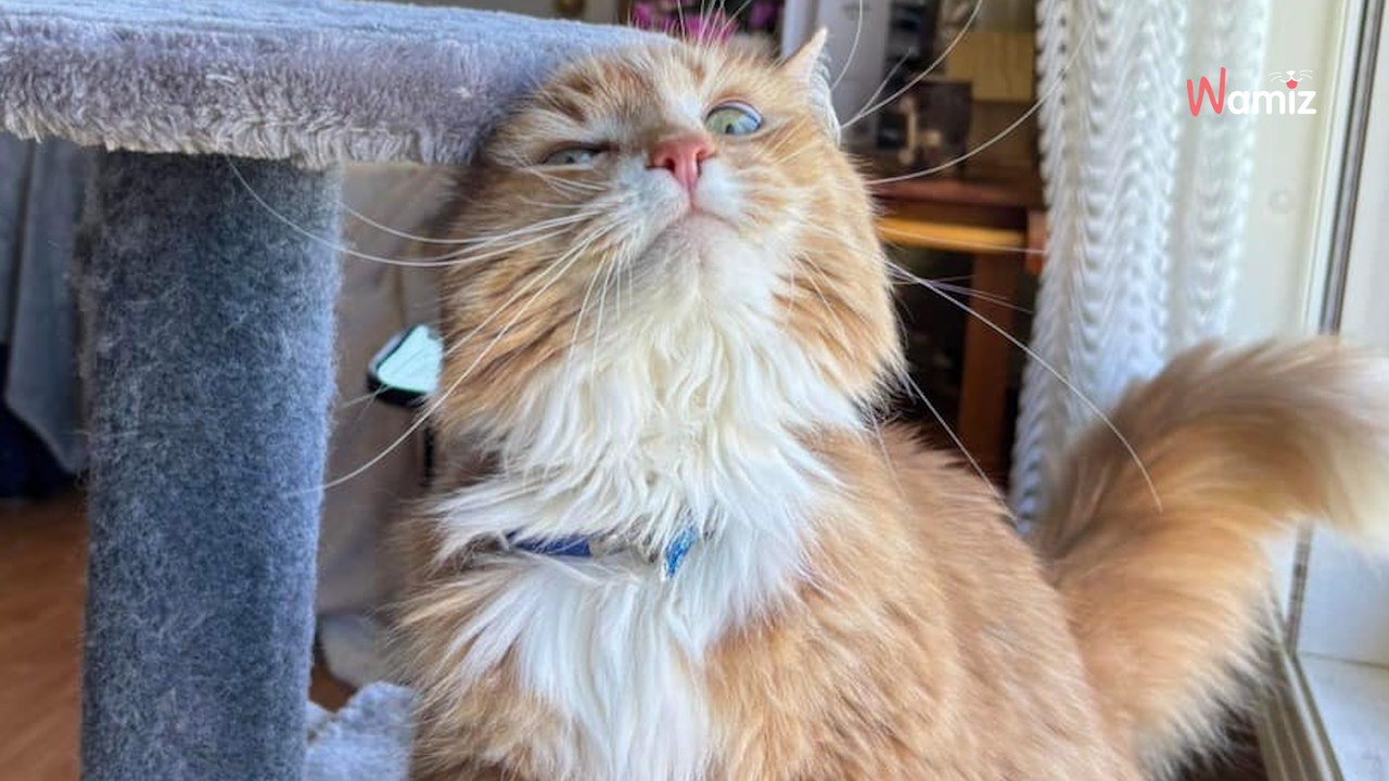 Elle entre dans un refuge : quelques heures plus tard, sa vie prend un tournant inattendue