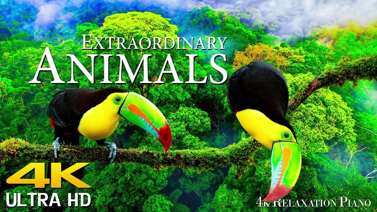 Beautiful Relaxing Music  Stop Overthinking & Relieve Stress | Gentle Music for Inner Peace, calming sounds, stress reduction music,