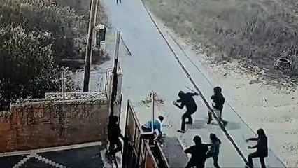 Westjordanland: Jüdische Siedler attackieren Palästinenser