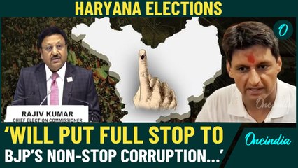 Haryana Elections: Deepender Hooda Welcomes October 1st Poll Date, Slams BJP’s "Non-Stop" Corruption