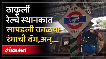 अन् पोलिसांना आढळली लोकलमध्ये काळया रंगाची बॅग, पुढे काय घडलं