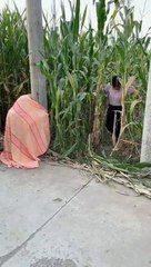 Best Funny New Clip BBK 2021 - New Comedy Video try not to laugh with BBK #short