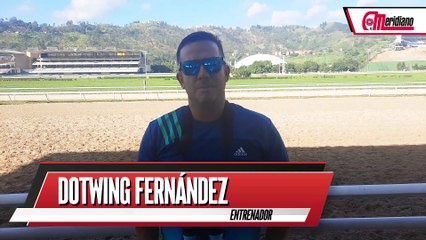 Hipismo: Dotwing Fernández, Entrenador.