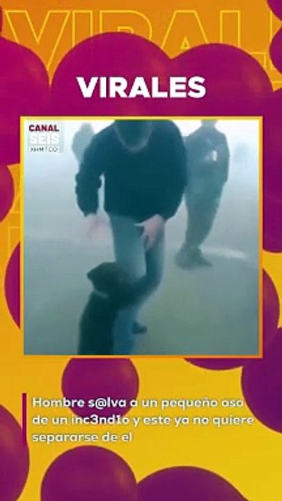 Hombre s@lva a un pequeño oso de un inc3nd1o y este ya no quiere separarse de el