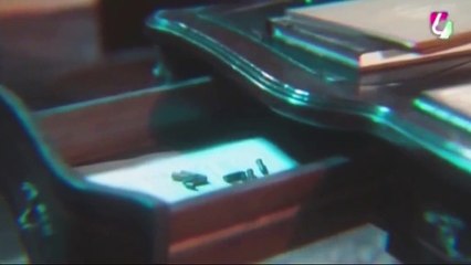 47. Amor Perfecto (Amor Perfeito), en español