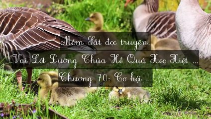 C69-C76 Vai Lót Đường Chúa Hề Quá Keo Kiệt