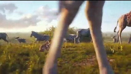 Mufasa The Lion King  Official Trailer_360P