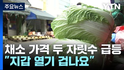 "지갑 열기 겁나요"...채소 가격 두 자릿수 급등 / YTN
