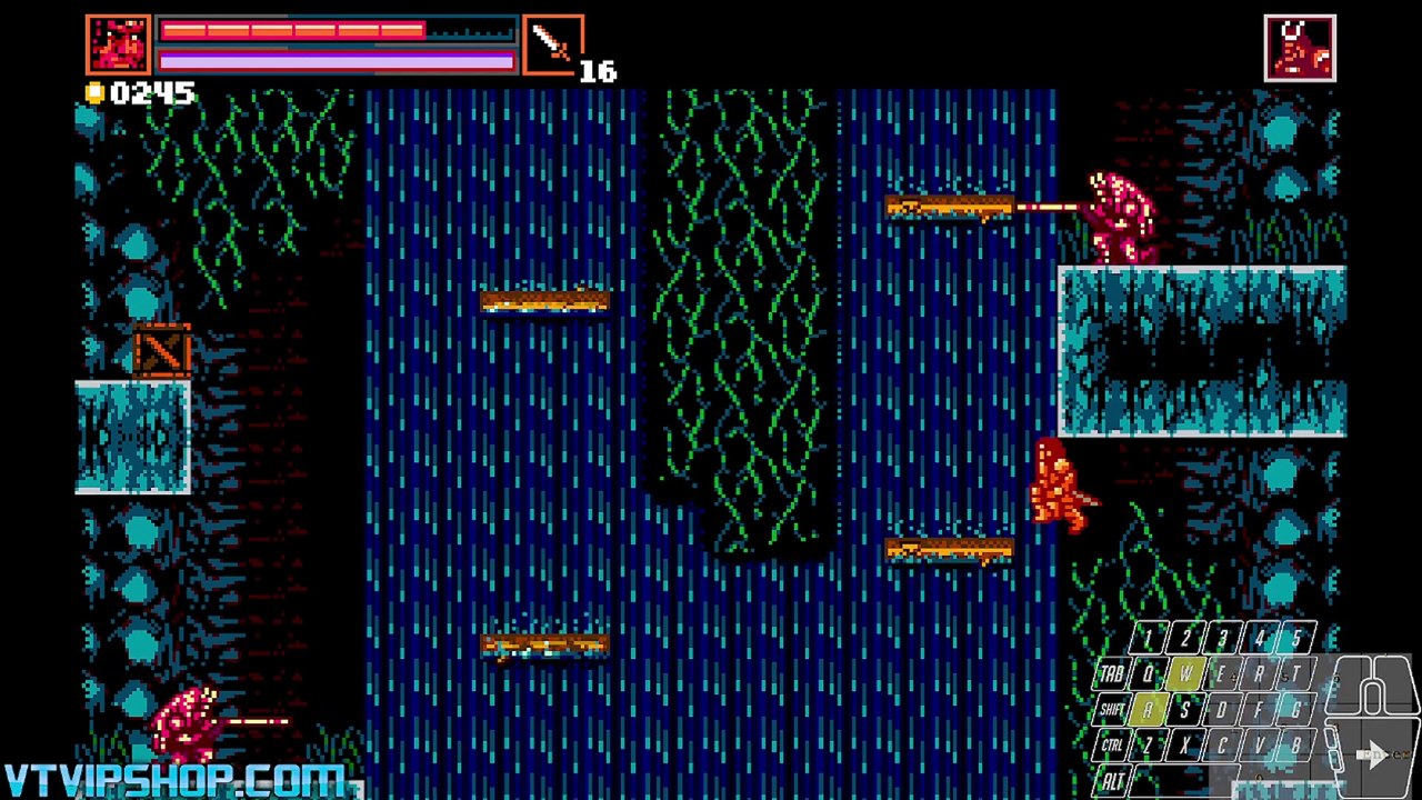 Samurai Snes 2024 16 08 2024 307 310