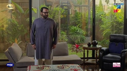 Jafaa - Ep 13 - [CC] 16th Aug 2024 - Sponsored By Salai, Masterpaints & Ujooba Beauty Cream - HUM TVdrama