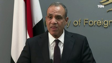 وزير الخارجية بدر عبدالعاطي : هناك أزمات عديدة تمر بها المنطقة ونخشى أن يكون لها انعكاسات سلبية على استقرار لبنان