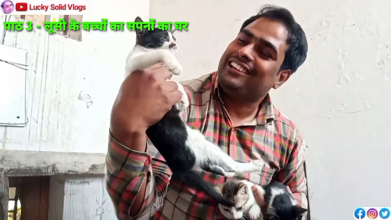 Loosi Ki Kahani Part 3 | Gorakhpur Vlog | Pet Vlog | Cat Story Video | Lucky Solid Vlogs | Pet Shop