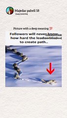 Today Trending Updates Pakistan and all over World