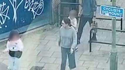 Mila Kunis and Ashton Kutcher spotted looking relaxed on family day out