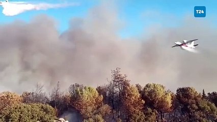 Bakan Yumaklı: İzmir’deki yangınlara müdahalemiz devam ediyor