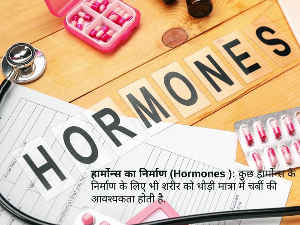 body fat or शरीर की चर्बी, अच्छी और ख़राब चर्बी, शरीर में चर्बी कितनी होनी चाहिए,