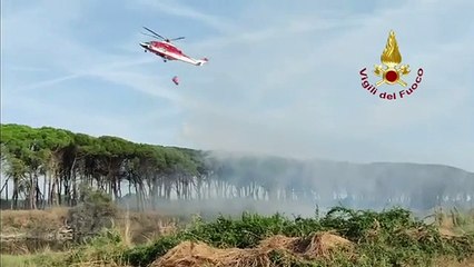 下载视频: Ravenna, il video dell'incendio alla pineta di Punta Marina