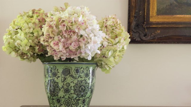 How to Revive Hydrangeas and Prolong Their Beautiful Blooms