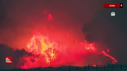 İzmir'de orman yangınını söndürme çalışmaları sürüyor