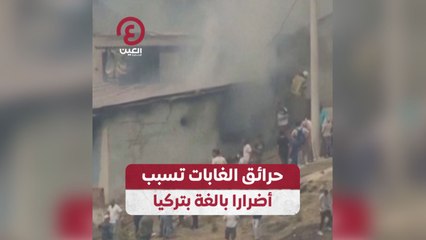 حرائق الغابات تسبب أضرار بالغة بتركيا