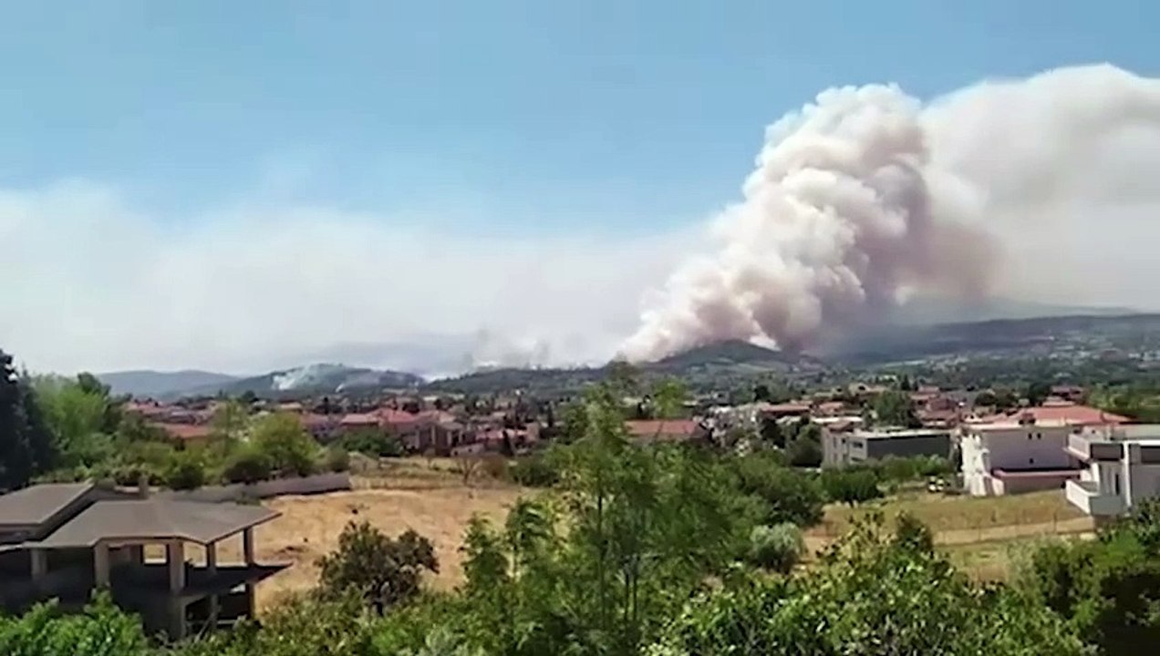 El pedido desesperado del papa Francisco por las víctimas del incendio en Grecia
