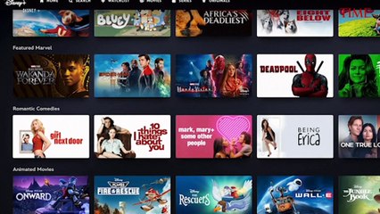 Wrongful Death Suit Against Disney Serves as a Warning to Consumers