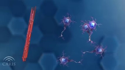 What Causes Cancer - Central Principles of Molecular Biology