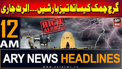 Descargar video: ARY News 12 AM Headlines 17th August  2024 | Rain Emergency - High Alert Issued in karachi