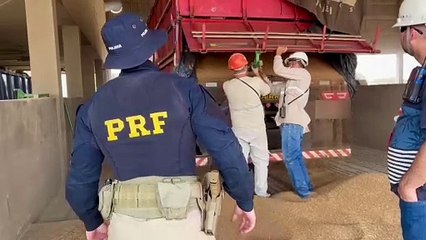 Caminhão carregado com 351 Kg de maconha é apreendido na BR-277 em Guarapuava