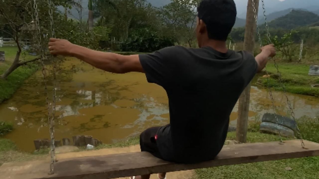 Man's attempt to swing without hands results in a tumble at the farm